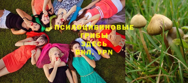 индика Абаза