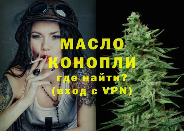 индика Абаза