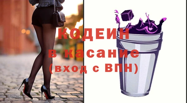 индика Абаза
