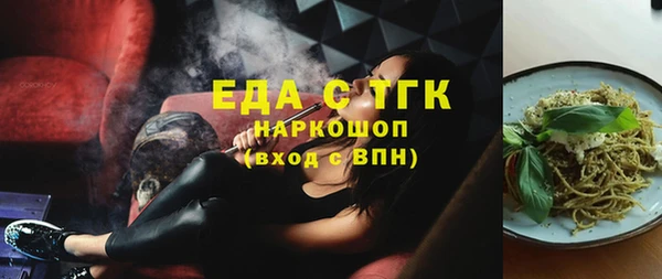 индика Абаза