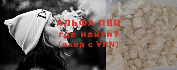 индика Абаза
