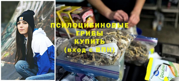 индика Абаза