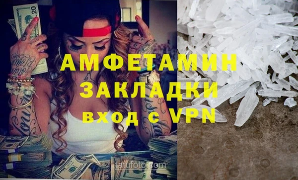 индика Абаза