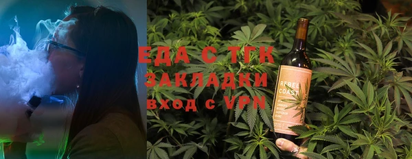 индика Абаза