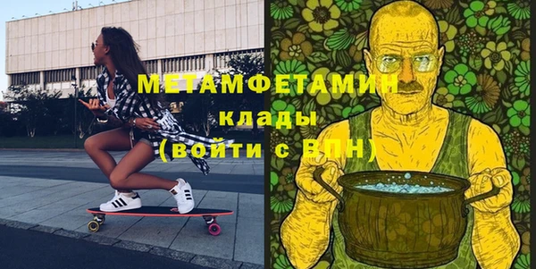 индика Абаза