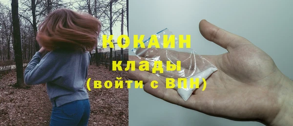 индика Абаза