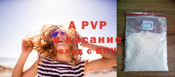 индика Абаза